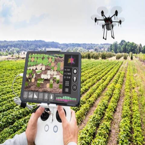 Food and Agricultural