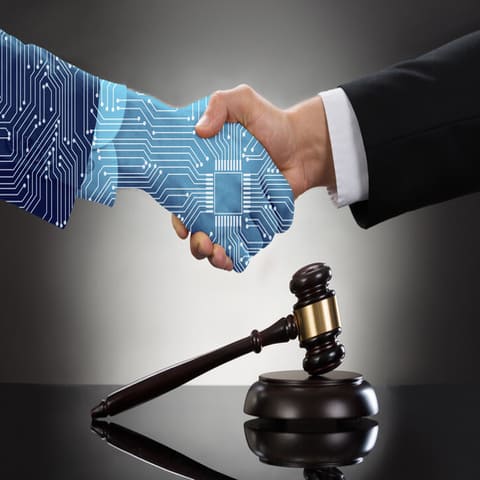 Law and Legal